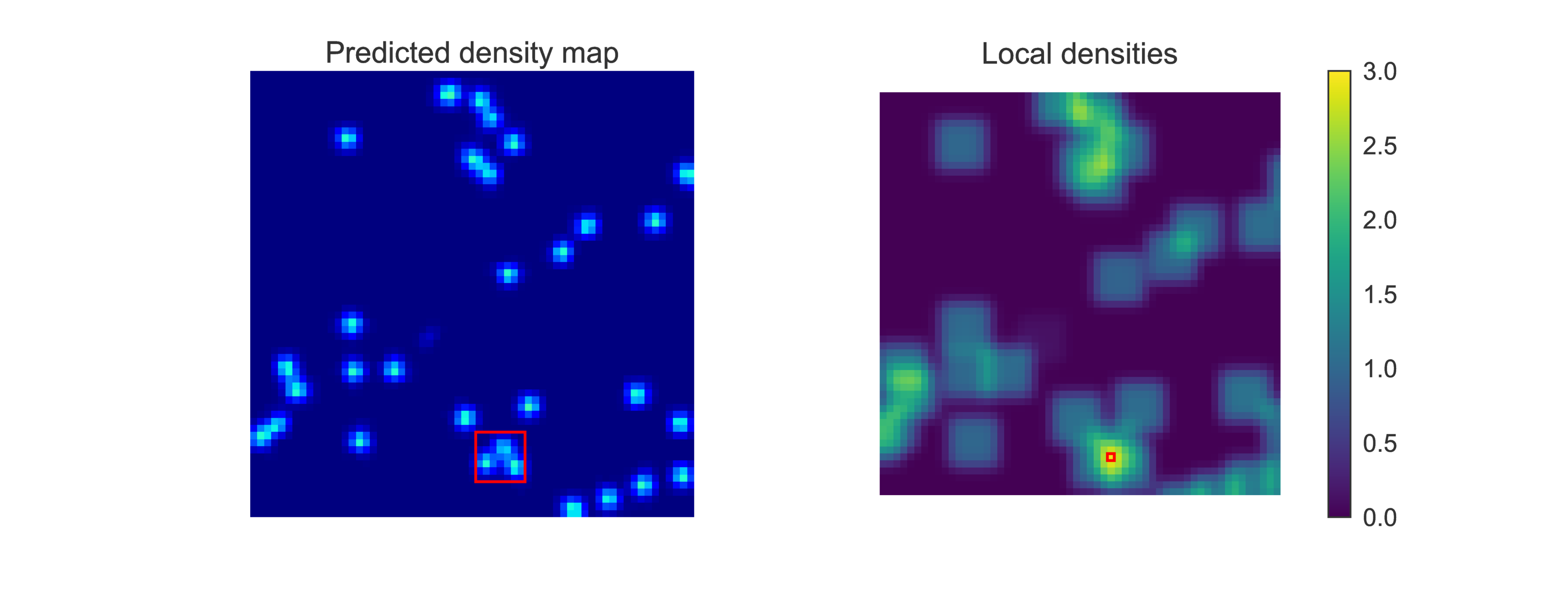 An illustration of how the maximum local count is derived from a predicted density map.